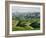 Farmland S Canterbury New Zealand-null-Framed Photographic Print