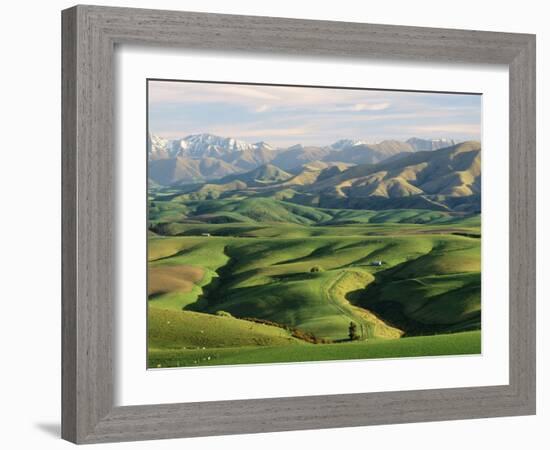 Farmland S Canterbury New Zealand-null-Framed Photographic Print