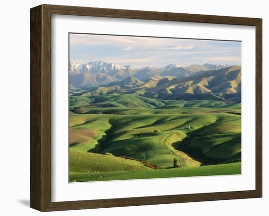 Farmland S Canterbury New Zealand-null-Framed Photographic Print