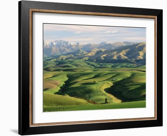 Farmland S Canterbury New Zealand-null-Framed Photographic Print