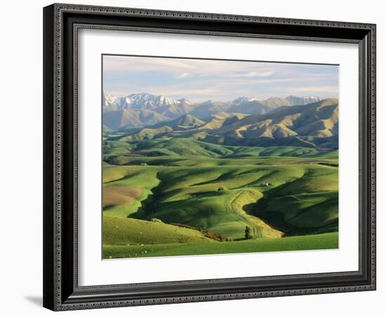 Farmland S Canterbury New Zealand-null-Framed Photographic Print