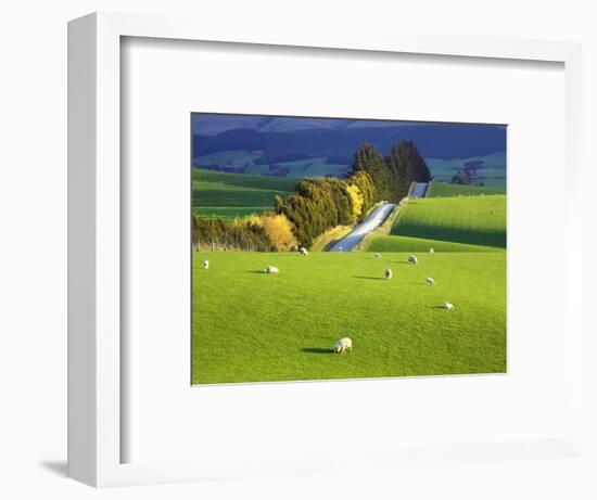 Farmland, South Otago, South Island, New Zealand-David Wall-Framed Photographic Print