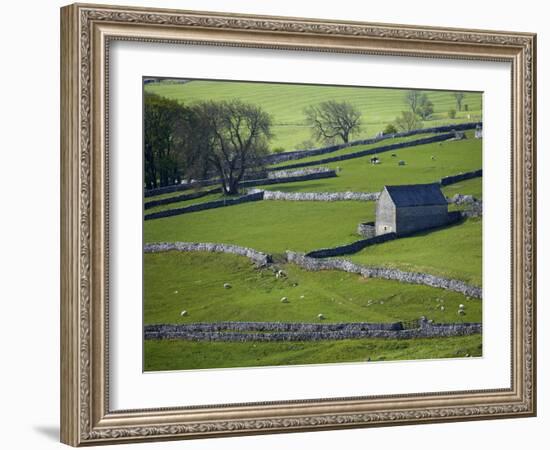 Farmland, Stone Walls and Buildings, Near Malham, Yorkshire Dales, North Yorkshire, England-David Wall-Framed Photographic Print