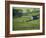 Farmland, Stone Walls and Buildings, Near Malham, Yorkshire Dales, North Yorkshire, England-David Wall-Framed Photographic Print