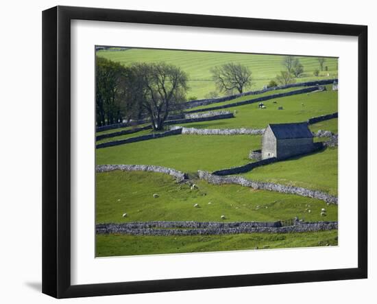 Farmland, Stone Walls and Buildings, Near Malham, Yorkshire Dales, North Yorkshire, England-David Wall-Framed Photographic Print
