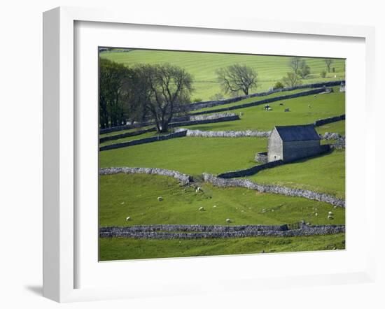 Farmland, Stone Walls and Buildings, Near Malham, Yorkshire Dales, North Yorkshire, England-David Wall-Framed Photographic Print