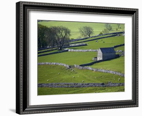 Farmland, Stone Walls and Buildings, Near Malham, Yorkshire Dales, North Yorkshire, England-David Wall-Framed Photographic Print