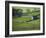 Farmland, Stone Walls and Buildings, Near Malham, Yorkshire Dales, North Yorkshire, England-David Wall-Framed Photographic Print