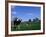 Farmland with Cows near Dublin, Ireland-Bill Bachmann-Framed Photographic Print