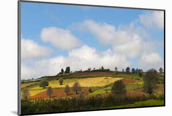 Farmland with Mustard Field, Shan State, Myanmar-Keren Su-Mounted Photographic Print