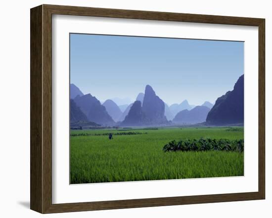 Farmland with the Famous Limestone Mountains of Guilin, Guangxi Province, China-Charles Sleicher-Framed Photographic Print
