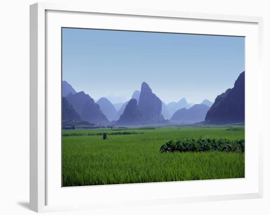 Farmland with the Famous Limestone Mountains of Guilin, Guangxi Province, China-Charles Sleicher-Framed Photographic Print