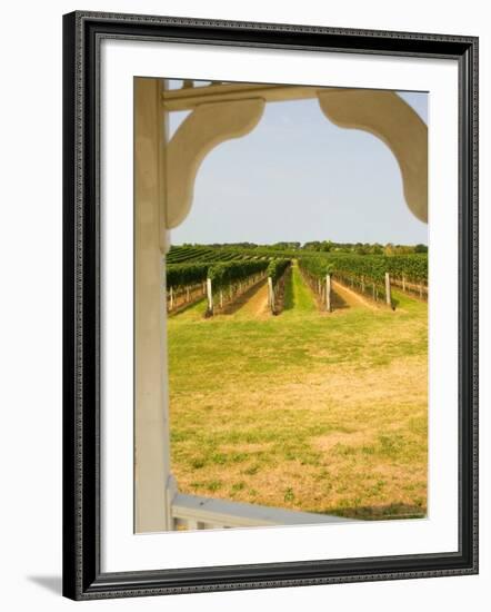 Farmlands and Flower Fields, The Hamptons, New York, USA-null-Framed Photographic Print