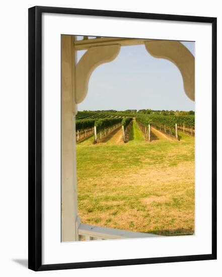 Farmlands and Flower Fields, The Hamptons, New York, USA-null-Framed Photographic Print