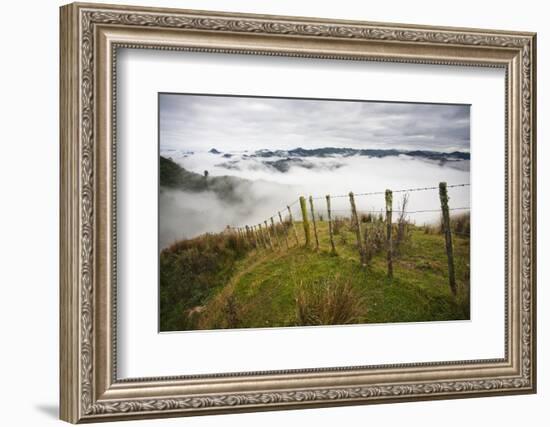 Farmlands in Whakahoro, in the Whanganui NP of New Zealand-Micah Wright-Framed Photographic Print