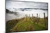 Farmlands in Whakahoro, in the Whanganui NP of New Zealand-Micah Wright-Mounted Photographic Print