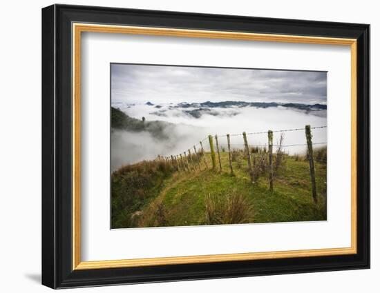 Farmlands in Whakahoro, in the Whanganui NP of New Zealand-Micah Wright-Framed Photographic Print