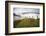 Farmlands in Whakahoro, in the Whanganui NP of New Zealand-Micah Wright-Framed Photographic Print