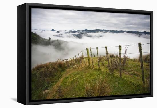 Farmlands in Whakahoro, in the Whanganui NP of New Zealand-Micah Wright-Framed Premier Image Canvas