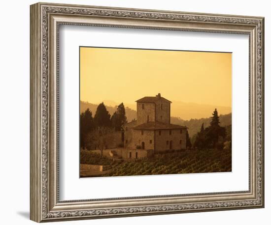 Farms and Vines, Tuscany, Italy-J Lightfoot-Framed Photographic Print