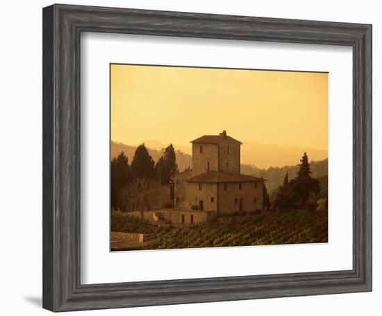 Farms and Vines, Tuscany, Italy-J Lightfoot-Framed Photographic Print