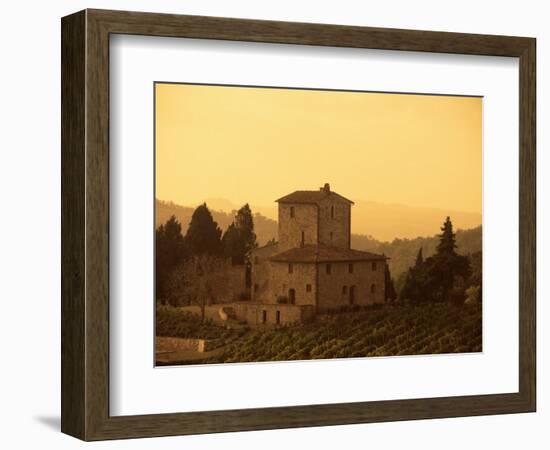 Farms and Vines, Tuscany, Italy-J Lightfoot-Framed Photographic Print