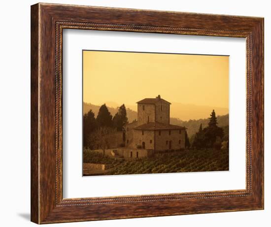 Farms and Vines, Tuscany, Italy-J Lightfoot-Framed Photographic Print