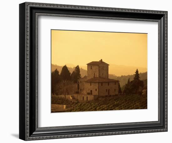 Farms and Vines, Tuscany, Italy-J Lightfoot-Framed Photographic Print