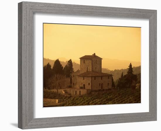 Farms and Vines, Tuscany, Italy-J Lightfoot-Framed Photographic Print