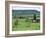 Farms Near Vieux-Pont-En-Ange, Near Boissey, Basse Normandie (Normandy), France-Adam Woolfitt-Framed Photographic Print