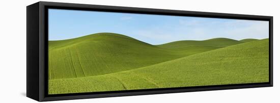 Farmscape Panorama VII-James McLoughlin-Framed Premier Image Canvas