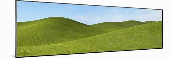 Farmscape Panorama VII-James McLoughlin-Mounted Photographic Print