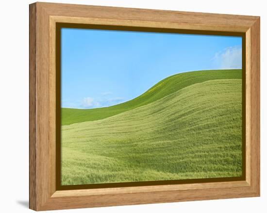 Farmscape Photo IV-James McLoughlin-Framed Premier Image Canvas