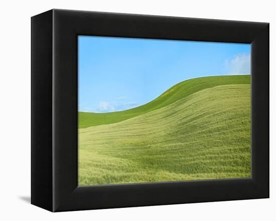 Farmscape Photo IV-James McLoughlin-Framed Premier Image Canvas