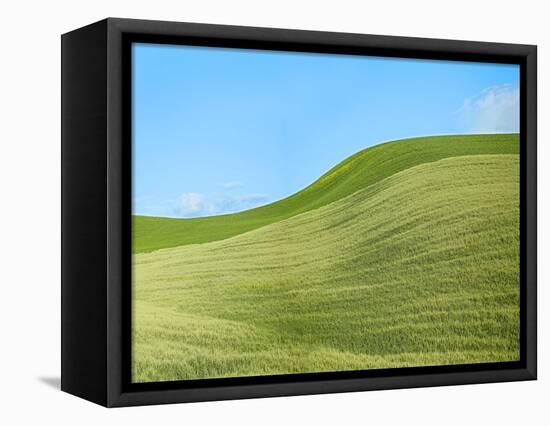 Farmscape Photo IV-James McLoughlin-Framed Premier Image Canvas