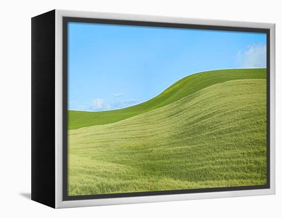 Farmscape Photo IV-James McLoughlin-Framed Premier Image Canvas