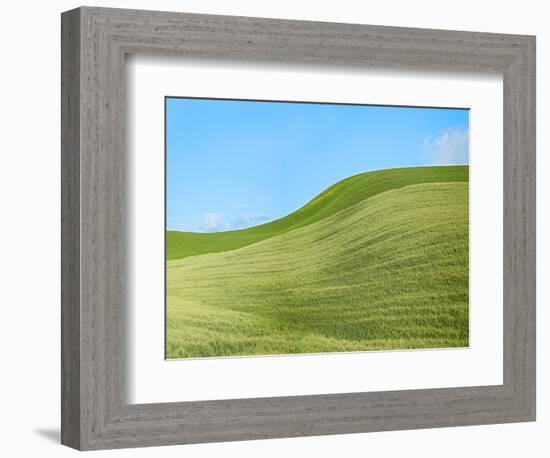 Farmscape Photo IV-James McLoughlin-Framed Photographic Print