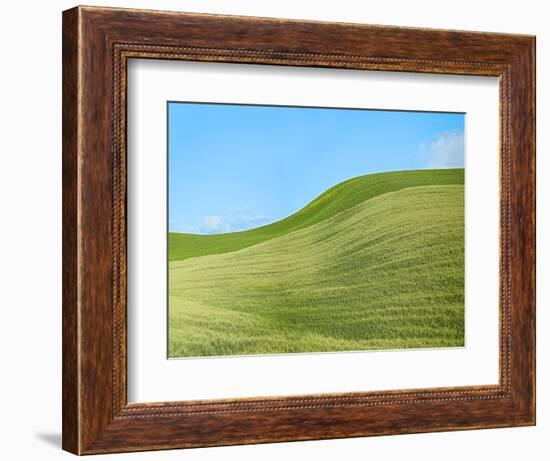 Farmscape Photo IV-James McLoughlin-Framed Photographic Print