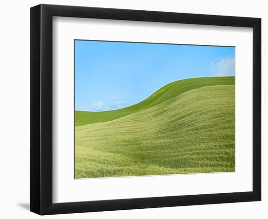 Farmscape Photo IV-James McLoughlin-Framed Photographic Print