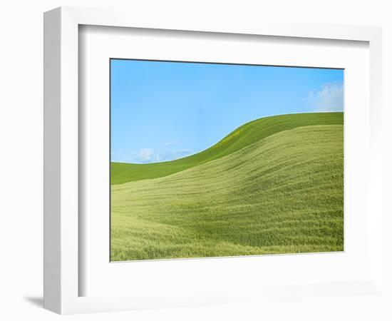 Farmscape Photo IV-James McLoughlin-Framed Photographic Print