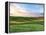 Farmscape Photo V-James McLoughlin-Framed Premier Image Canvas