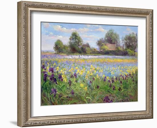 Farmstead and Iris Field, 1992-Timothy Easton-Framed Giclee Print