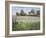 Farmstead and Iris Field, 1992-Timothy Easton-Framed Giclee Print