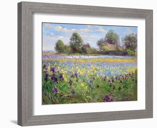 Farmstead and Iris Field, 1992-Timothy Easton-Framed Giclee Print