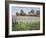 Farmstead and Iris Field, 1992-Timothy Easton-Framed Giclee Print