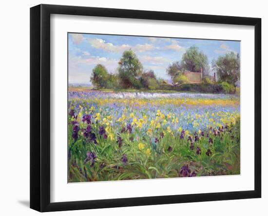 Farmstead and Iris Field, 1992-Timothy Easton-Framed Giclee Print