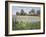 Farmstead and Iris Field, 1992-Timothy Easton-Framed Giclee Print