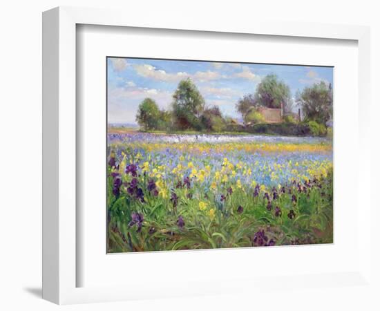 Farmstead and Iris Field, 1992-Timothy Easton-Framed Giclee Print