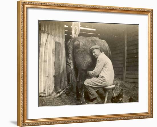 Farmworker Milks a Cow by Hand in a Very Primitive Cow- House-null-Framed Photographic Print