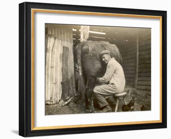 Farmworker Milks a Cow by Hand in a Very Primitive Cow- House-null-Framed Photographic Print